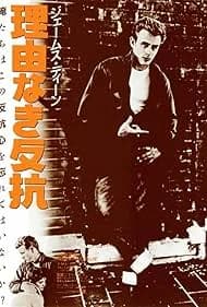 理由なき反抗 映画ポスター