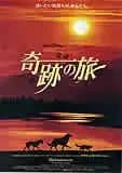 奇跡の旅 映画ポスター