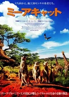 ミーアキャット 映画ポスター