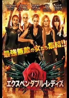 エクスペンダブル・レディズ 映画ポスター