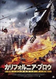 カリフォルニア・ブロウ 映画ポスター