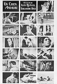 アンダルシアの犬 映画ポスター