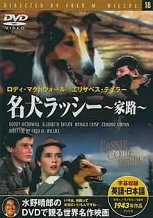 名犬ラッシー/家路 映画ポスター