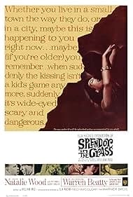 草原の輝き 映画ポスター