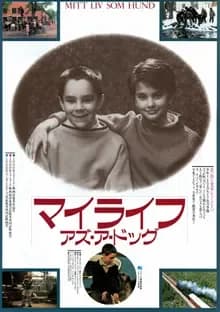 マイライフ・アズ・ア・ドッグ 映画ポスター