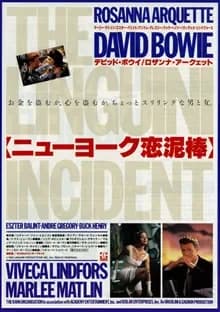 ニューヨーク恋泥棒 映画ポスター